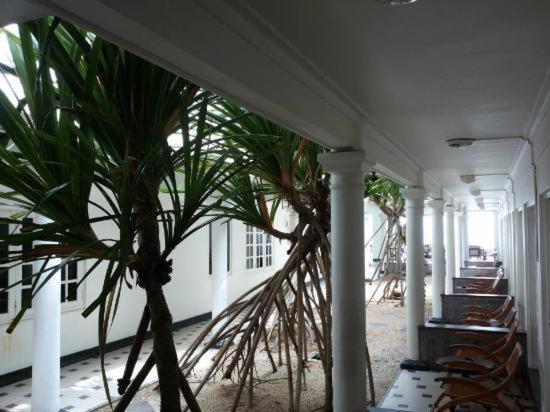 Ap Nippon Beach Hikkaduwa Eksteriør bilde